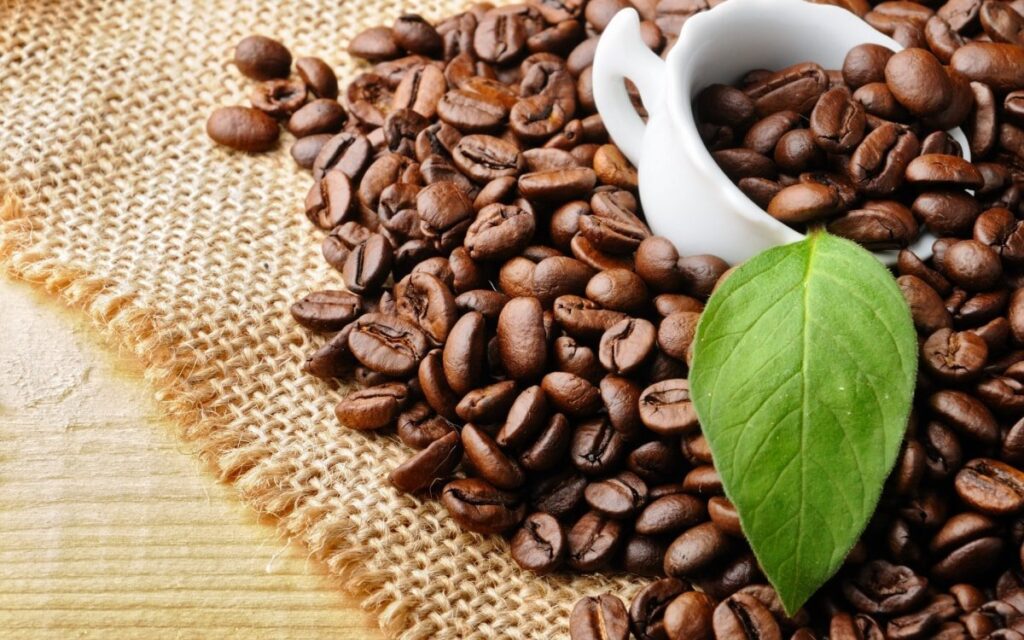 Có nên uống hạt cà phê Arabica không?