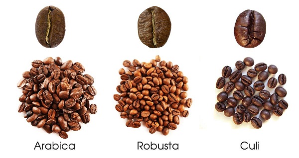 Giá các loại cafe sạch rang xay nguyên chất ngon-uy tín-chất lượng