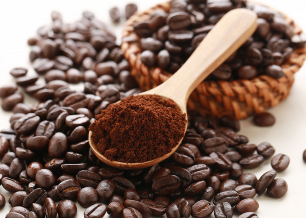 Cafe hạt sạch- cà phê nguyên chất phân phối sỉ lẻ toàn quốc